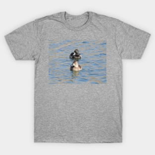 Wildlife gifts, waterfowl, ring-necked ducks T-Shirt